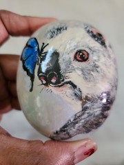 hand painted Koala Blue Butterfly collectible gifting ideas pebble stone