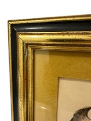 Art Crested Coventry Eagle Print Royal Coat of Arms Old Vintage Pair Framed Art