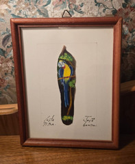 Vintage 2 JOSE GARRO – PARROT PAINTED on FEATHER – Costa Rica – Framed &SIGNED