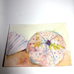 ACEO Original Sea Urchin and Scallop Seashell Mini 3 1/2″ x 2 1/2″ Watercolor