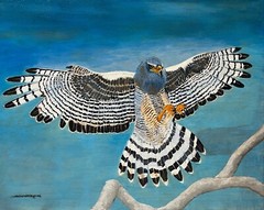 Peregrine Falcon, acrylic painting on canvas by original artist, hand painted