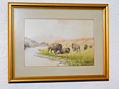 JULIUS J. RORPHURO (1861-1928, France-Calif.); ‚BUFFALOS GRAZING‘, W/C, Signed