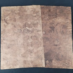 2 Original Amate Mexican Bark Paintings 39cmx59cm from Guerrero Mexico