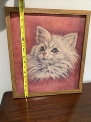 Vtg Fluffy Gray/White Cat Artwork Framed No Glass 17”x15” UNIQUE