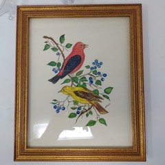 Bird Painting Original Signed Framed Watercolor 11.5″ x 9.5″