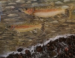 Rainbow trout fishing art acrylic canvas painting real rocks, resin coating 