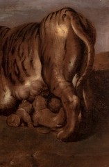 17th Century Flemish Old Master Tiger and Cubs – PETER PAUL RUBENS (1577-1640)