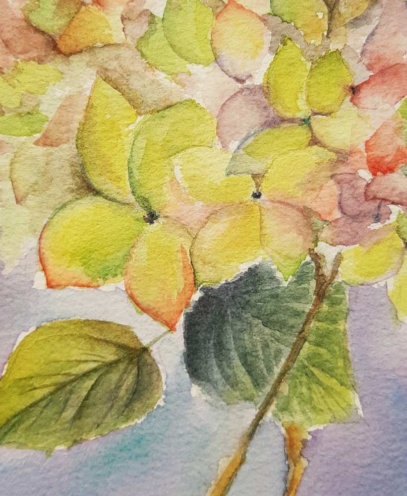 Original Watercolor Painting Flowers Hydrangea Wall Art Hand Made Painted