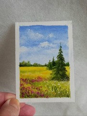 ACEO Original Oil Painting Landscape Field Noon Meadow Wall Art 2.5 x 3.5 in