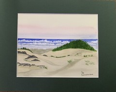 Sand Dunes Florence Oregon