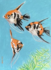 Koi Angelfish 2, Fish Tank, Nature, Original Acrylic Painting, Art, 12×16 inch