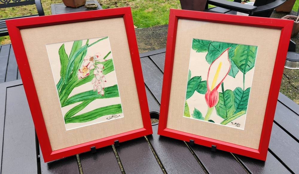 Matching Pair 1949 Original Watercolor Botanicals – Shell Ginger & Calla…