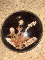 Original Woodland Picture Of Real NE Flowers