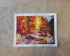 Hand Painted By Number Painting on Canvas Completed Unframed 40cm X 30cm