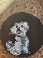 Oil painting “dog“ plywood Board 12″