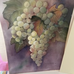 Janice Sumler White Grapes Painting Print. 11” X 14” Signed Reproduction EUC