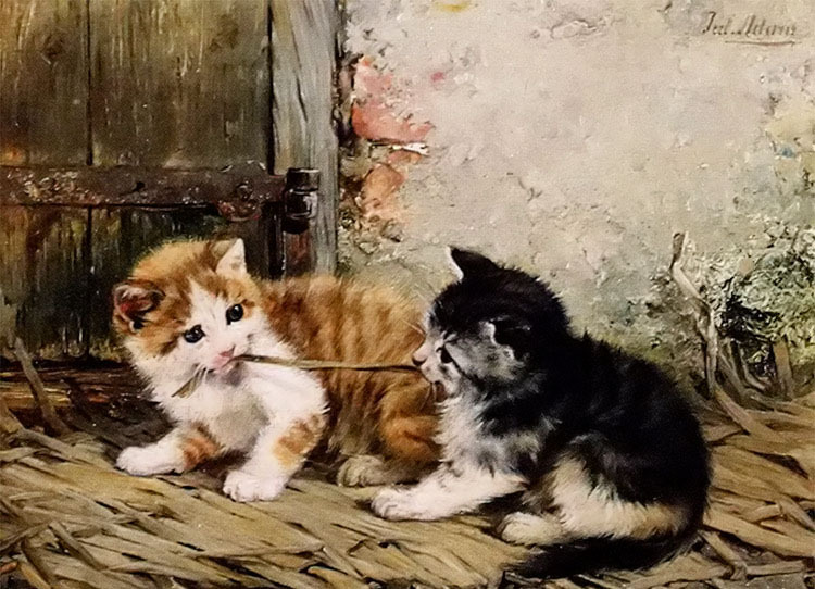 Oil painting julius adam – tug of war two little cats playing unframed canvas