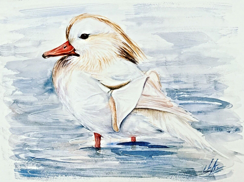 Bird Mandarin Duck Watercolor Original Painting