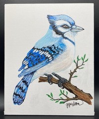 Original Acrylic Painting “Blue Jay” Bird 8×10, Signed, Not Framed