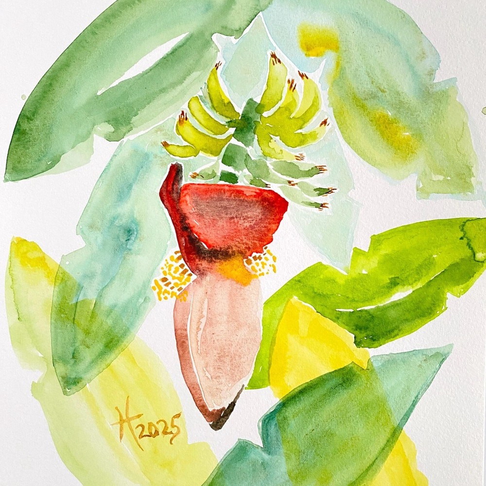 Tropical Delight Original Art Banana Tree Watercolor Painting Matted 11x14in