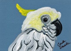 ACEO ATC Original Painting Sulfer Crested Cockatoo Parrot Bird Art -Carla Smale
