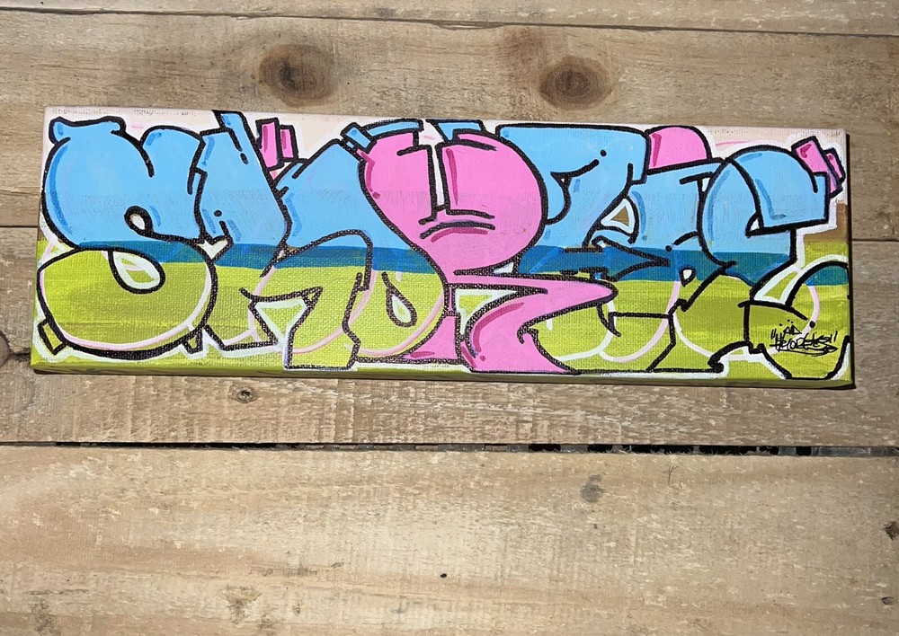 12 X 4 In. Canvas Shortiez Ink Art Painting Gallery Decor Graffiti Cartoon Pink
