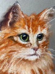 Red Cat Original Art Pet Portrait Painting Cat Pastels Art Orange Cat Artwork