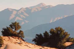 June Carey Large 20×30 Oil Painting California Desert Landscape Listed Artist