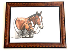 Jocelyn Sandor signed 2002 Original Pastel 2 Horse Painting Custom Frame 36×28