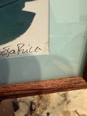 Vintage Costa Rica Hand Painted Feather Signed By Artist Framed