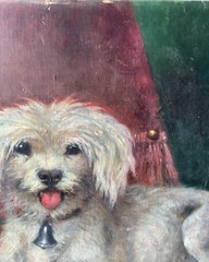 Alfred DECAEN Signed – Antique French Academic Oil 1897’s – Portrait Dog Poodle