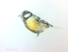 Great Tit, Birds, Watercolor artwork, Handmade, Original painting on paper