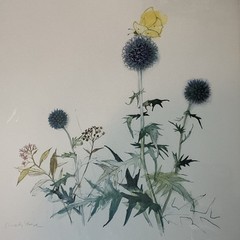 VTG Watercolor Print By Mads Stage Thistle & Butterfly 23×19 Wood Frame Danish