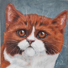 Original Ginger Cat Painting Fluffy Cat Portrait Oil 8 x 8 Animal Painting