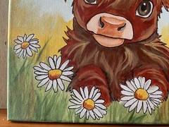 12 x 12 Original Acrylic Painting on Canvas…..“Spring Scottish Highland Cow“
