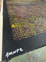 Gracie Morton Pwerle 💕Aboriginal Art COA Supplied. 88cm X 61cm GMNP2