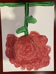 The Pink Rose