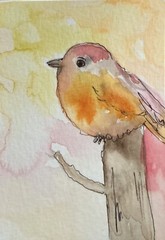 Aceo By Kenna Original Painting Little Wren Bird 2.5” X 3.5” Signed