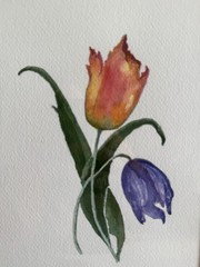Original Watercolor Painting Tulips in Color Floral Art Signed 2007 Framed Decor