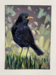 Bird Blackbird Oil Painting 5×7 inches Signed by the artist