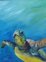 Original acrylic painting , „Loggerhead turtle“ Fine Art 12×16 by Sonya Allen