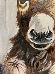 9 x 12 Framed Acrylic and Pen Painting on Canvas Board……“Spring Burro“