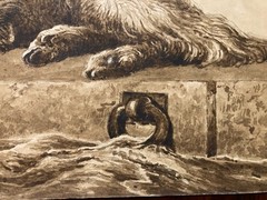 Drawing Ink Wash On Paper XIX Century 1850 Animals Dog Art Old