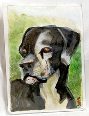 Miniature Fine Art Study – Watercolor on Paper -Signed Original