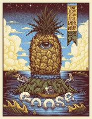 Goose Poster Firefly Distillery Charleston SC 2026 Concert Indie Band Art Print