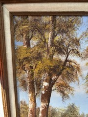 Original Oil Painting On Canvas Nature Scene 3 Trees River Signed Framed 18×24