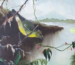 Vintage Signed Dowling Painting Orchid Tropical Orchid Bird after Martin Heade