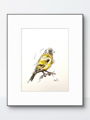 Original Abstract 9×12 Goldfinch Ink Drawing Handmade Bedroom Signed Fine Art 20