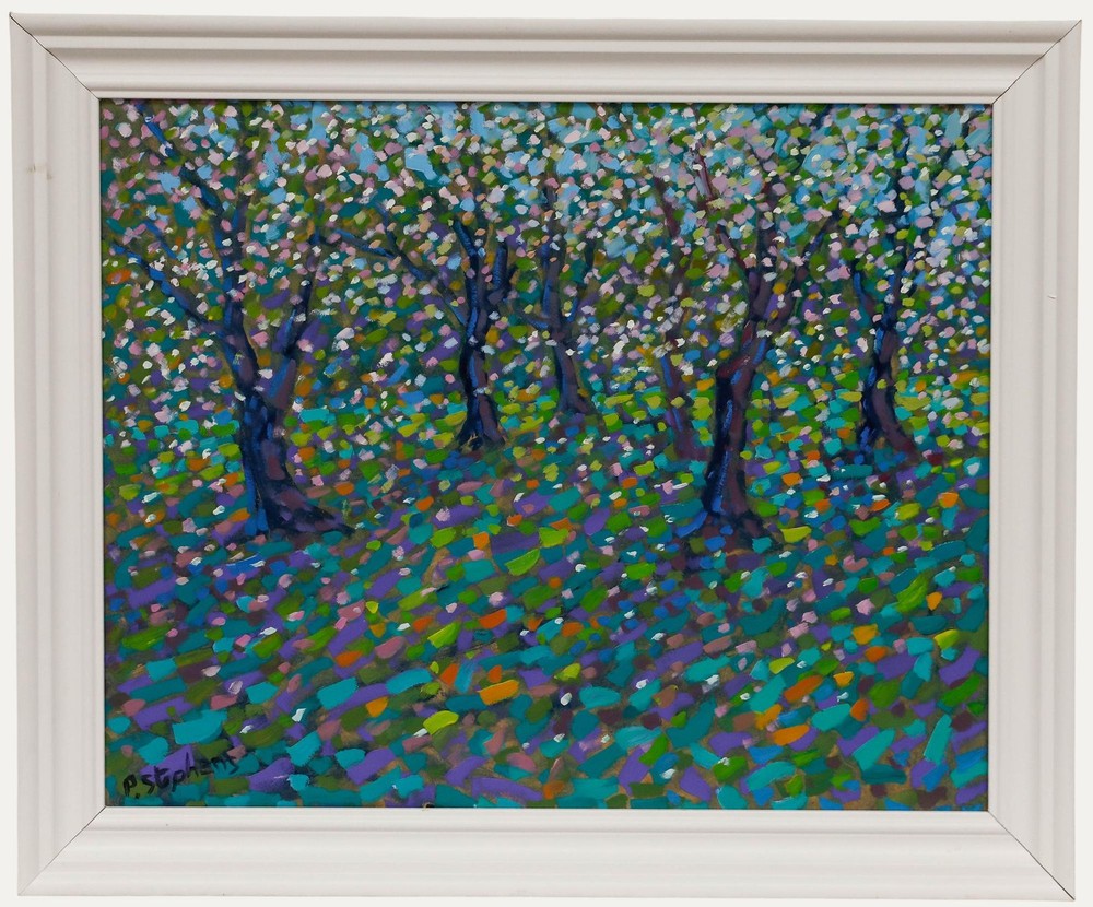 Paul Stephens – Framed Contemporary Oil, Blossom, Apple Orchard