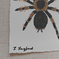 Original Spider Painting Small Acrylic on Handmade Cotton Paper Deckled Edge